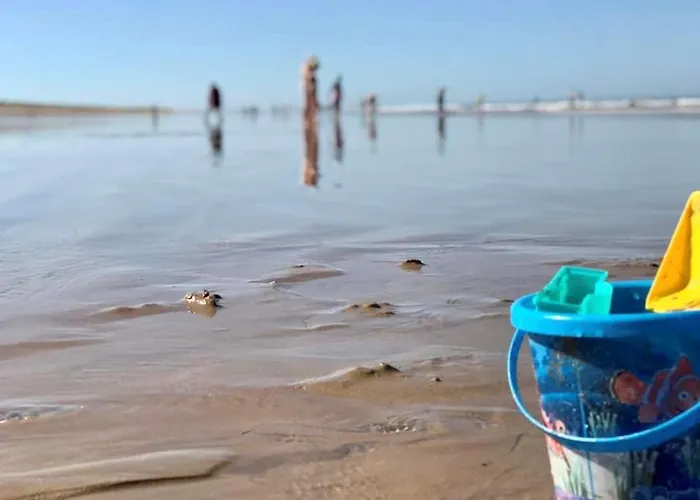 Maison Proche Etang, Jardin Clos, 2 Chambres - Fr-1-231-123 布雷蒂诺斯梅尔